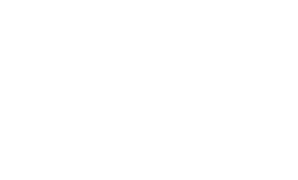 GAA Handball Logo